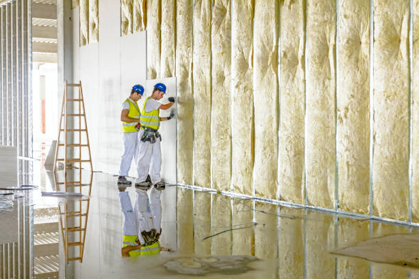 Best Insulation Installation Services in Eagle, NE